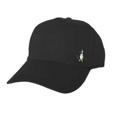 baseball cap with intergalactic messenger alexander pip