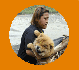 scrolls of hope for victims of disaster