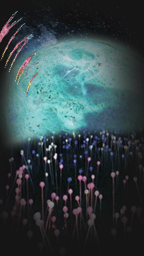 InterGalactic Messenger Christa Bella