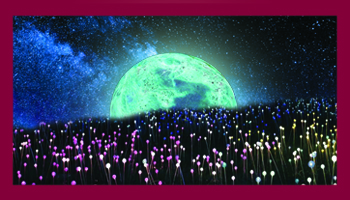 Christa Bella poster background