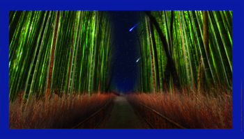 Alexander pip poster background