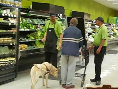 Seeing for the blind